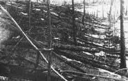 le dernier impact connu s"est produit en Sibrie le 30 juin 1908, dans la Toungouska.